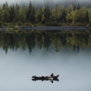 a lone boat floating on a lake surrounded by forest